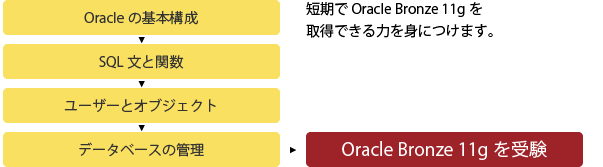 Oracle Master Bronze　Oracleの基本構成からOracle Bronze 11gを受験までのながれ