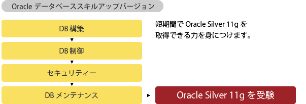 Oracle Master Bronze　DB構築からOracle Silver 11gを受験までのながれ